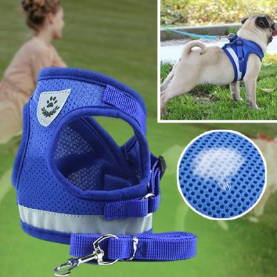 Nastavitelný reflexní postroj a vodítko pro domácí mazlíčky | LEASHNGO